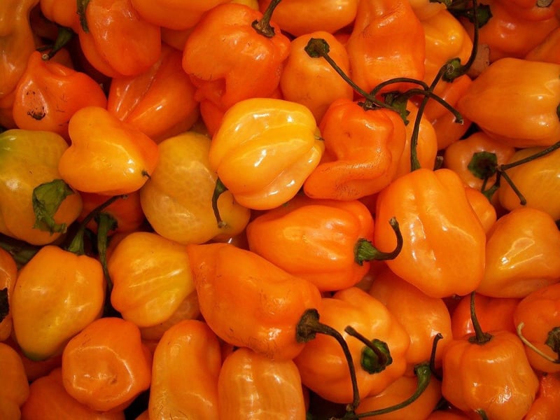 Mango Habanero Salsa